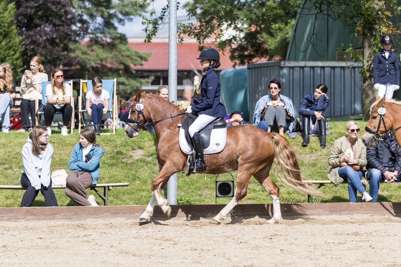 Bild 613 - Pony Akademie Turnier
